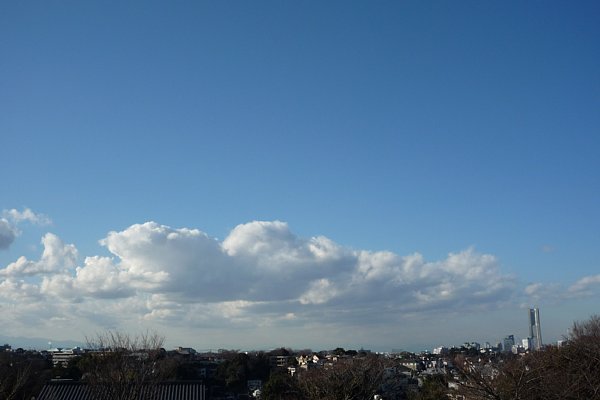 f:id:zaikabou:20090111191215j:image