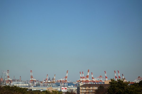 f:id:zaikabou:20090111191216j:image