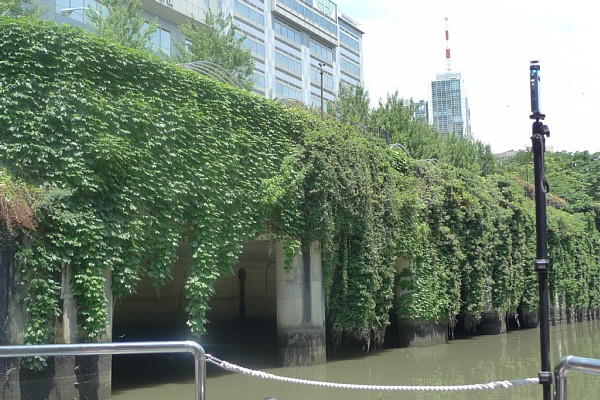 f:id:zaikabou:20100714221326j:image f:id:zaikabou:20100714221326j:image