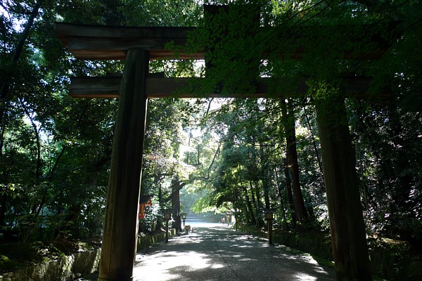 f:id:zaikabou:20100814132315j:image f:id:zaikabou:20100814132315j:image