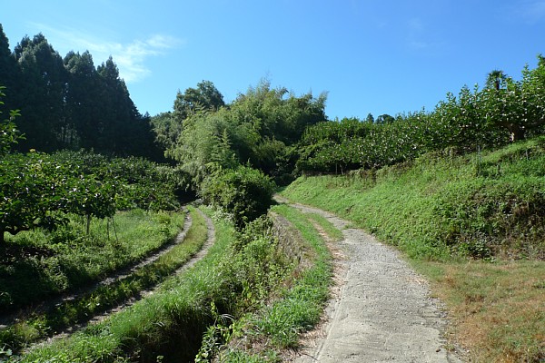 f:id:zaikabou:20100814132704j:image f:id:zaikabou:20100814132704j:image