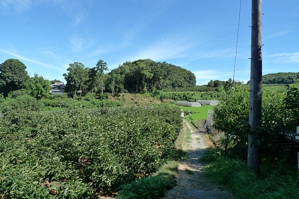 f:id:zaikabou:20100814132922j:image f:id:zaikabou:20100814132922j:image