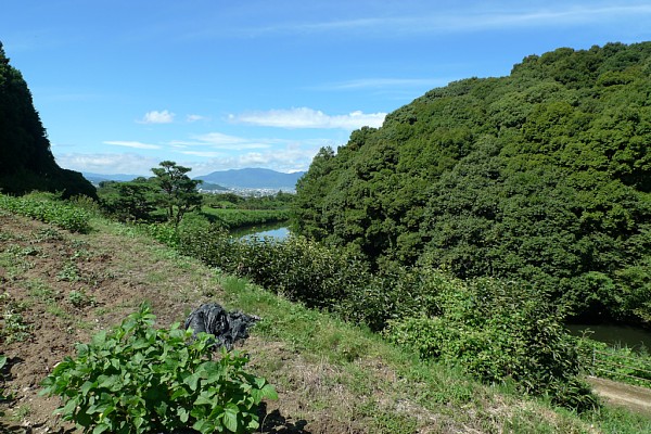 f:id:zaikabou:20100814133310j:image f:id:zaikabou:20100814133310j:image