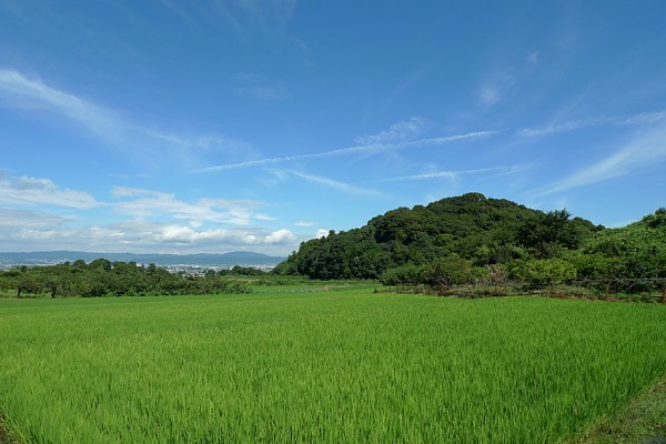 f:id:zaikabou:20100814133312j:image f:id:zaikabou:20100814133312j:image