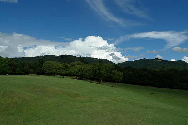 f:id:zaikabou:20100814140756j:image f:id:zaikabou:20100814140756j:image