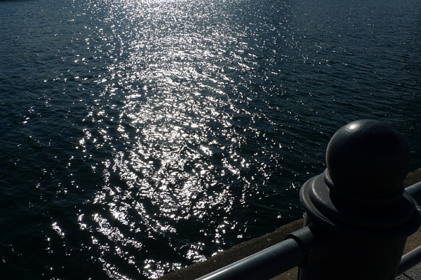 f:id:zaikabou:20110116183351j:image f:id:zaikabou:20110116183351j:image