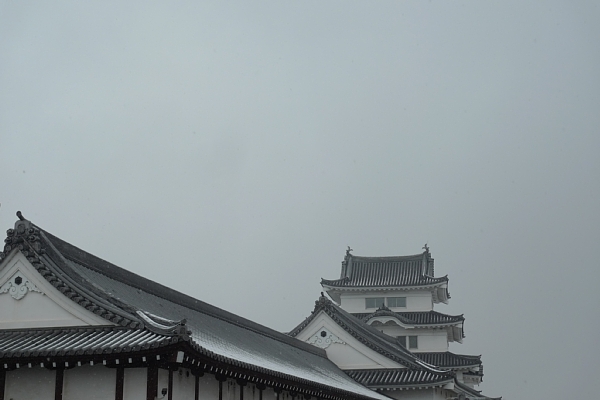 f:id:zaikabou:20110216204351j:image f:id:zaikabou:20110216204351j:image