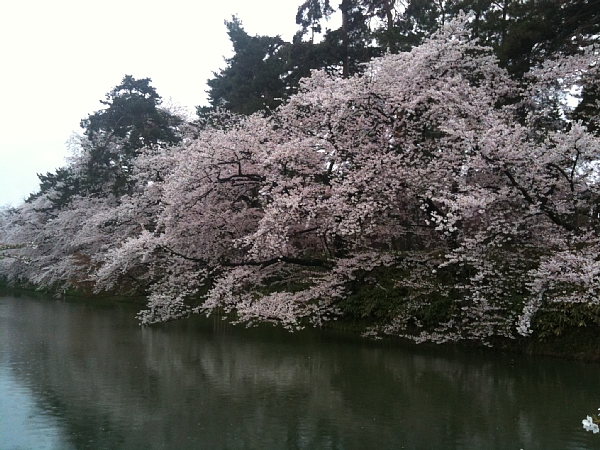 f:id:zaikabou:20110505064137j:image