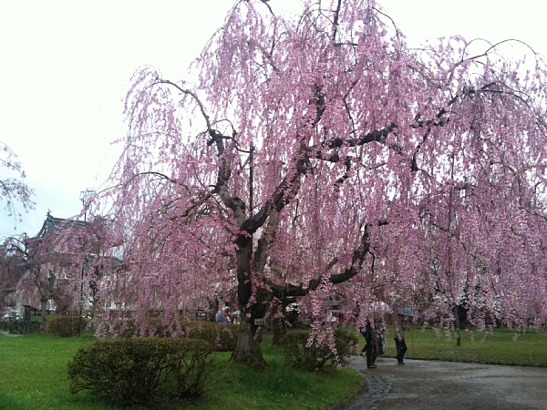 f:id:zaikabou:20110505064651j:image