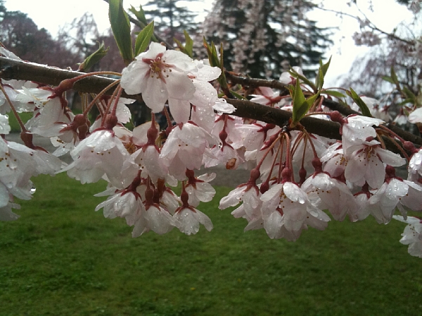 f:id:zaikabou:20110505064653j:image