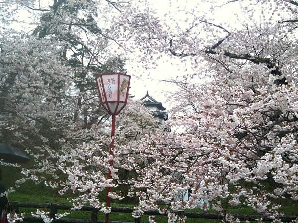 f:id:zaikabou:20110505064655j:image