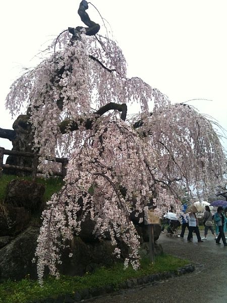 f:id:zaikabou:20110505064855j:image