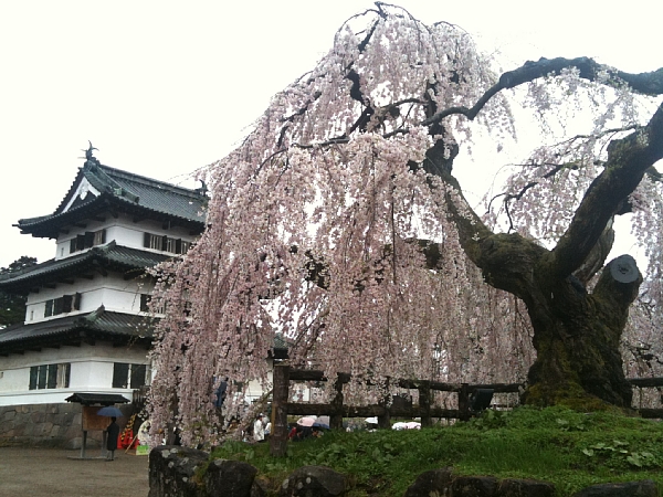 f:id:zaikabou:20110505064856j:image