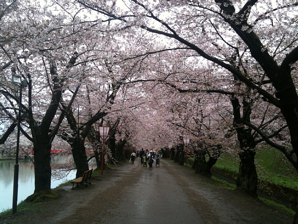 f:id:zaikabou:20110505065052j:image