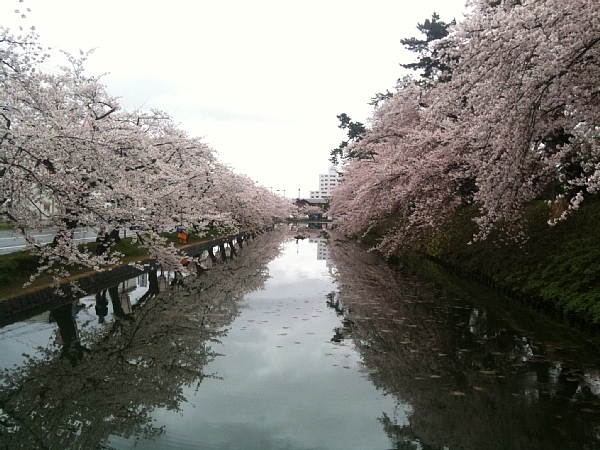 f:id:zaikabou:20110505070100j:image