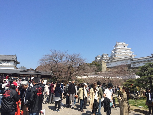 f:id:zaikabou:20150411094209j:image