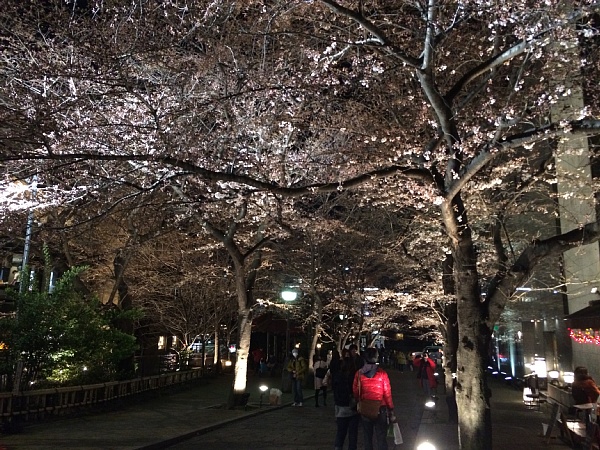 f:id:zaikabou:20150411094217j:image