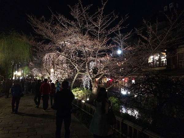 f:id:zaikabou:20150411094218j:image