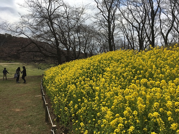 f:id:zaikabou:20160327083158j:plain