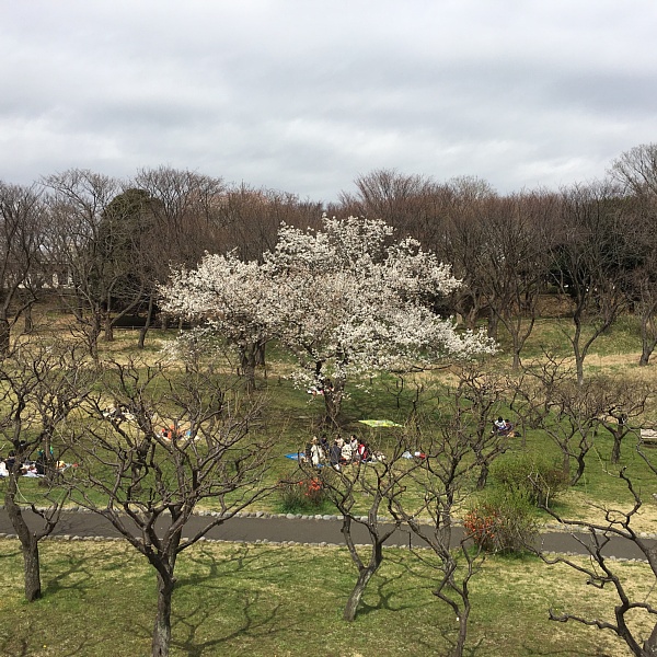 f:id:zaikabou:20160327083159j:plain