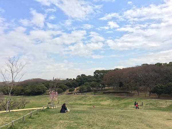 f:id:zaikabou:20160327083200j:plain