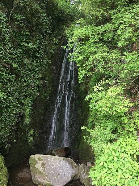 f:id:zaikabou:20160504074424j:plain f:id:zaikabou:20160504074424j:plain