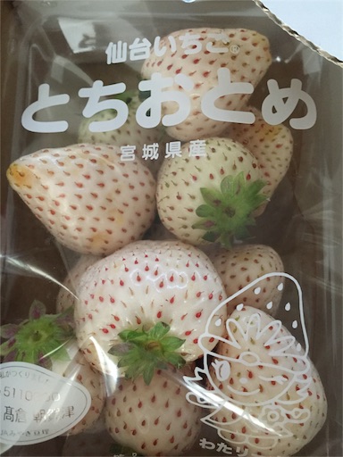 f:id:zakiyamazaki:20160218124739j:image f:id:zakiyamazaki:20160218124739j:image