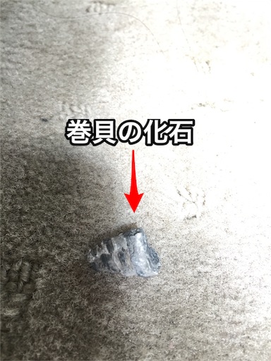 f:id:zakiyamazaki:20160418114742j:image f:id:zakiyamazaki:20160418114742j:image