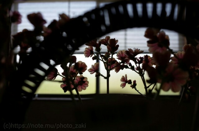f:id:zakizine-jpn:20160604022404j:image f:id:zakizine-jpn:20160604022404j:image