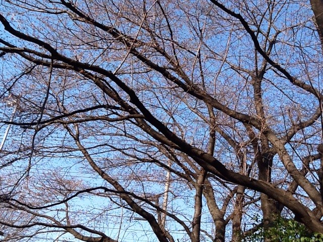 f:id:zam:20140328200034j:plain f:id:zam:20140328200034j:plain