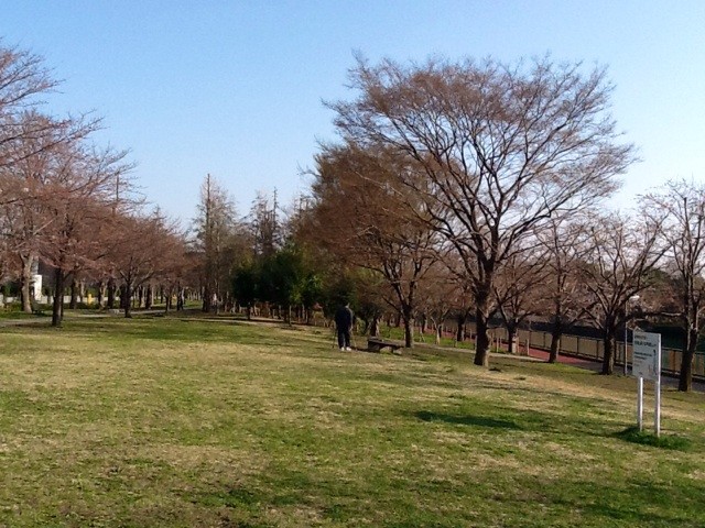 f:id:zam:20140328200429j:plain f:id:zam:20140328200429j:plain
