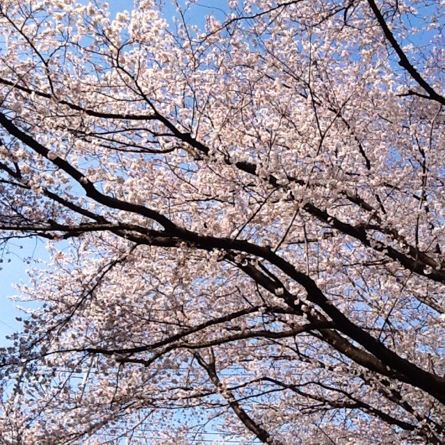 f:id:zam:20140331204135j:plain f:id:zam:20140331204135j:plain