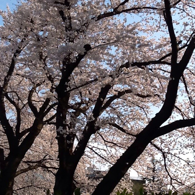 f:id:zam:20140401210049j:plain f:id:zam:20140401210049j:plain