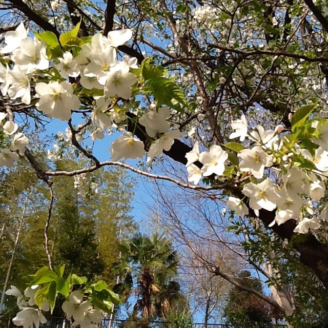 f:id:zam:20140401210216j:plain f:id:zam:20140401210216j:plain