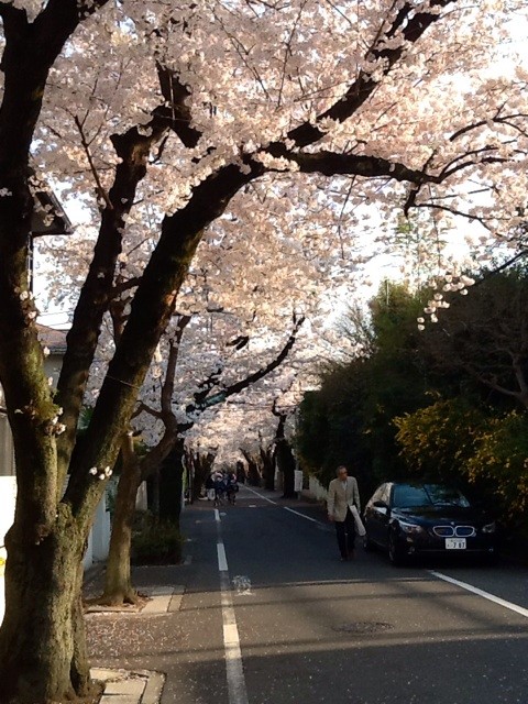 f:id:zam:20140401210322j:plain f:id:zam:20140401210322j:plain