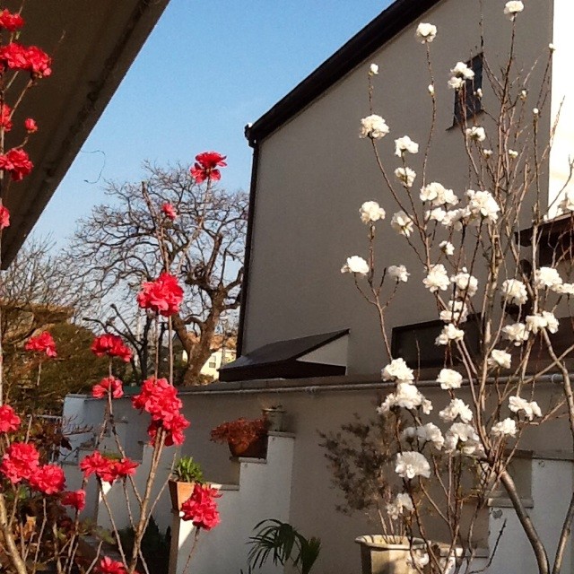 f:id:zam:20140401210357j:plain f:id:zam:20140401210357j:plain