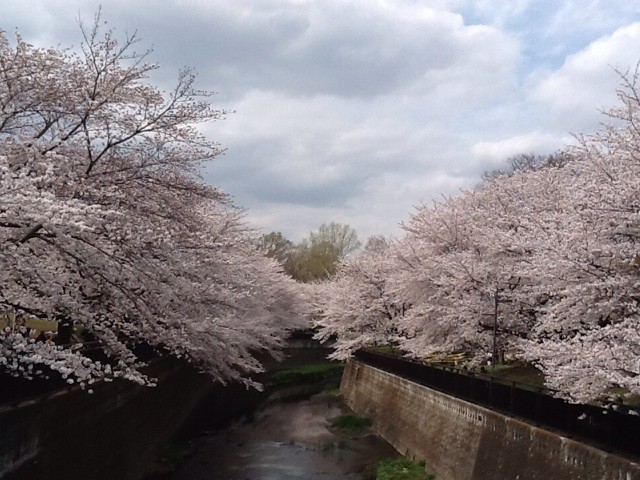 f:id:zam:20140402234609j:plain f:id:zam:20140402234609j:plain