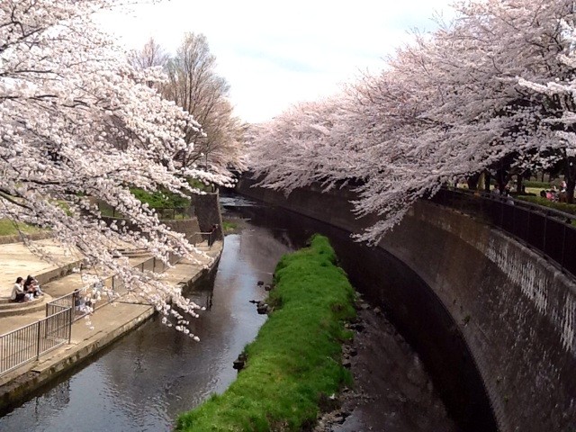 f:id:zam:20140402234738j:plain f:id:zam:20140402234738j:plain