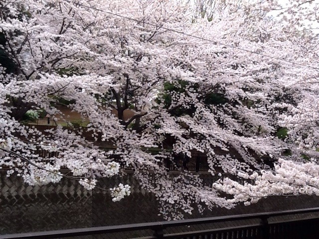 f:id:zam:20140402234938j:plain f:id:zam:20140402234938j:plain