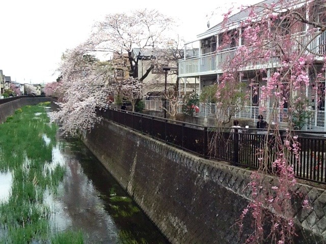 f:id:zam:20140402235012j:plain f:id:zam:20140402235012j:plain