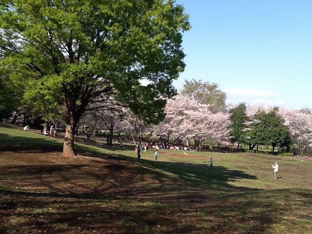 f:id:zam:20140405014624j:plain f:id:zam:20140405014624j:plain