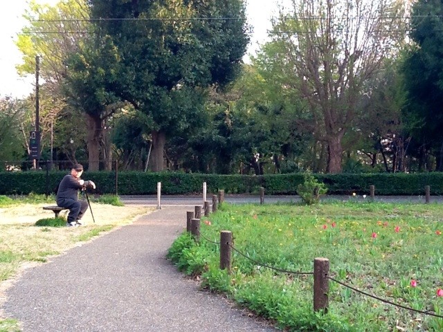 f:id:zam:20140410005407j:plain f:id:zam:20140410005407j:plain