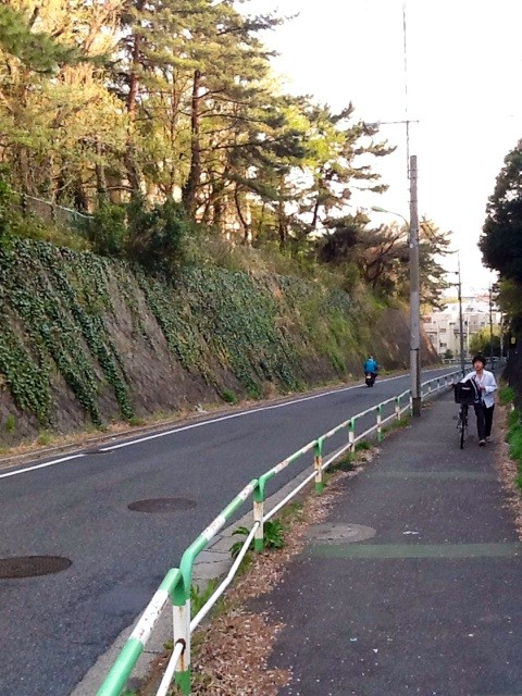 f:id:zam:20140410005438j:plain f:id:zam:20140410005438j:plain