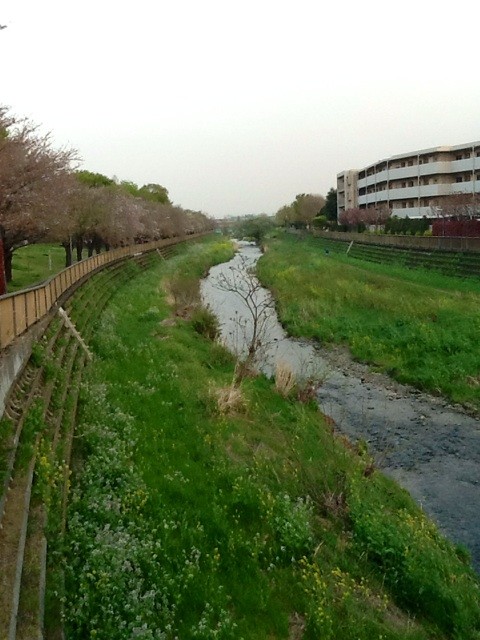 f:id:zam:20140410221358j:plain f:id:zam:20140410221358j:plain