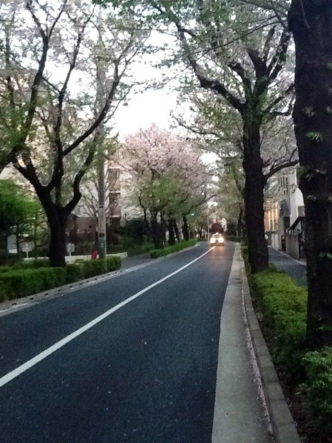 f:id:zam:20140410221733j:plain f:id:zam:20140410221733j:plain