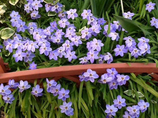f:id:zam:20140412011659j:plain f:id:zam:20140412011659j:plain
