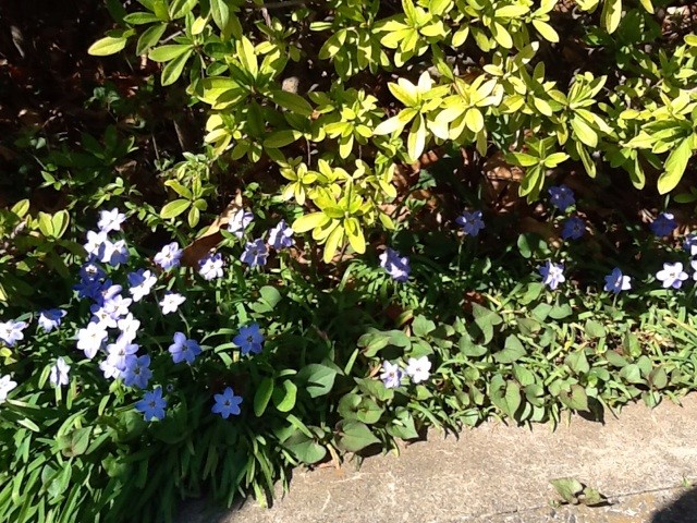 f:id:zam:20140412012451j:plain f:id:zam:20140412012451j:plain