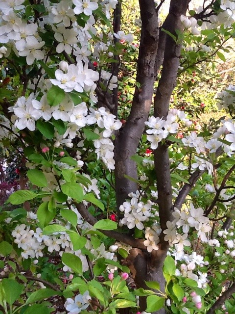f:id:zam:20140413141449j:plain f:id:zam:20140413141449j:plain
