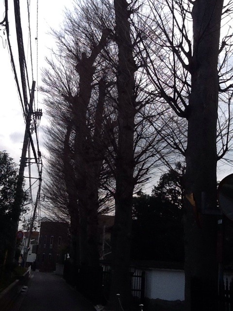 f:id:zam:20140414154003j:plain f:id:zam:20140414154003j:plain