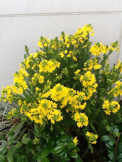 f:id:zam:20140414154130j:plain f:id:zam:20140414154130j:plain